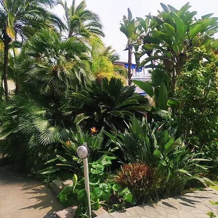 Διαμέρισμα Pergolato Junior Σαν Ρέμο