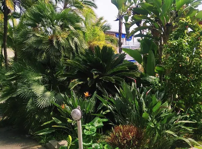 Apartament Pergolato Junior San Remo